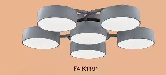 F4－K1191